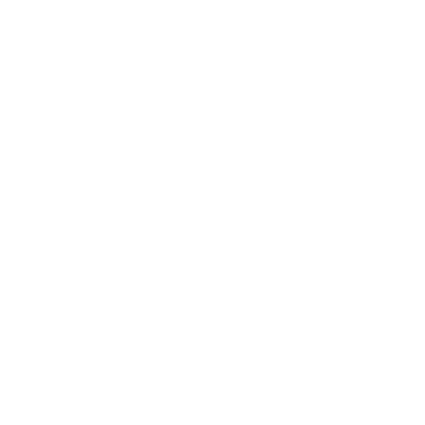 Visual Asylum